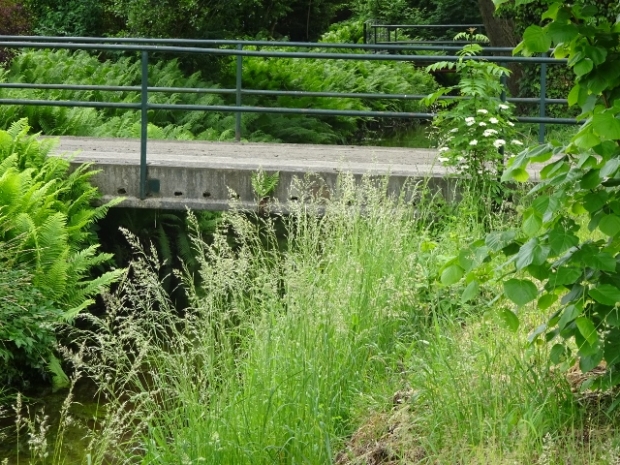 Grundstückszufahrtbrücke / Nieplitz