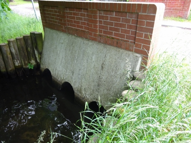 Lindenalleebrücke / Nieplitz