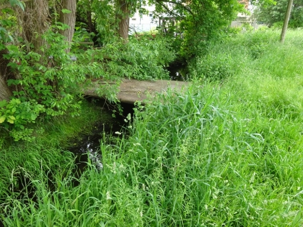 Grundstückszufahrtbrücke / Nieplitz
