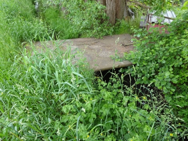 Grundstückszufahrtbrücke / Nieplitz