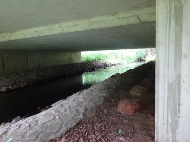 B102 Bundesstraßenbrücke / Nieplitz