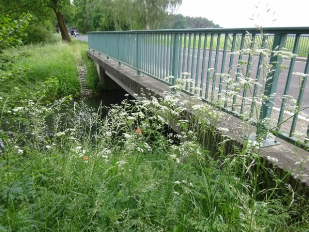 L812 Landstraßenbrücke / Nuthe