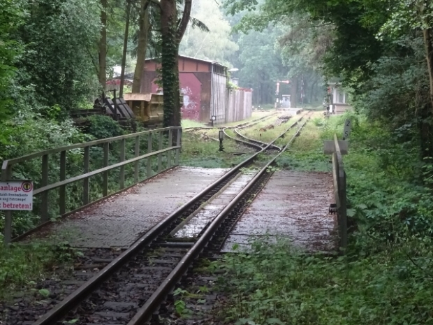 EÜ Parkeisenbahn Wuhlheide / Feuchtstelle im Wald