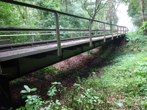 EÜ Parkeisenbahn Wuhlheide / Feuchtstelle im Wald