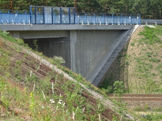 Straßenbrücke Zum Campingplatz / EU Strecke Berlin - Dresden