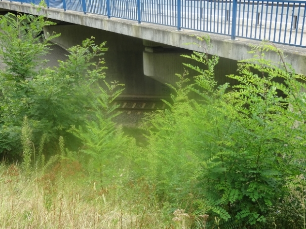 B 216 Alte Poststraßenbrücke /EU Strecke Lüneburg - Hitzacker
