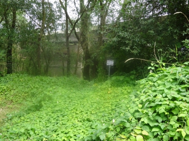 Drawenertorstraßenbrücke / Jeetzel