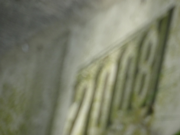 Straßenbrücke Dambeck / Graben in der Elbaue