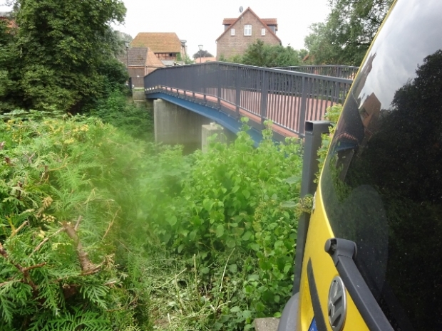 Fläutendörper Steg / Dove Elde