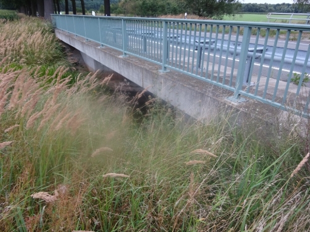 B 195 Bundesstraßenbrücke / Schmaldiemen