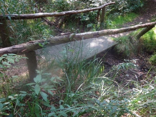 Fußwegbrücke im Grünauer Forst / Krumme Lake