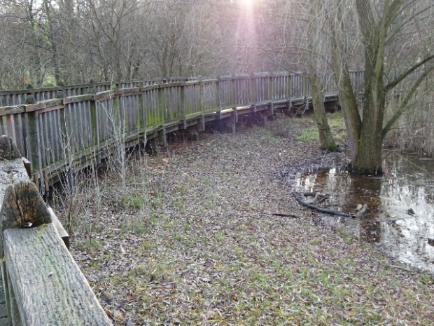 Fußwegbrücke / Rixdorfer Teich