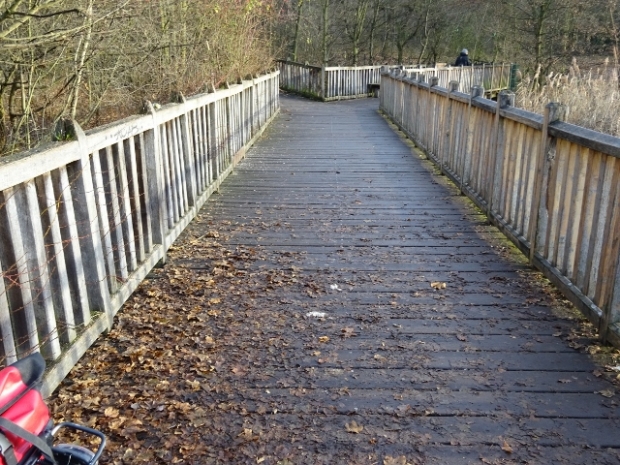 Fußwegbrücke / Rixdorfer Teich