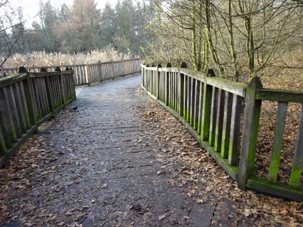 Fußwegbrücke / Rixdorfer Teich