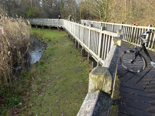 Fußwegbrücke / Rixdorfer Teich