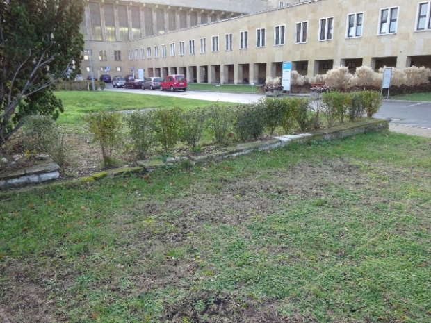 Betriebsstraßenbrücke / Zufahrt zum ehemaligenFrachthof