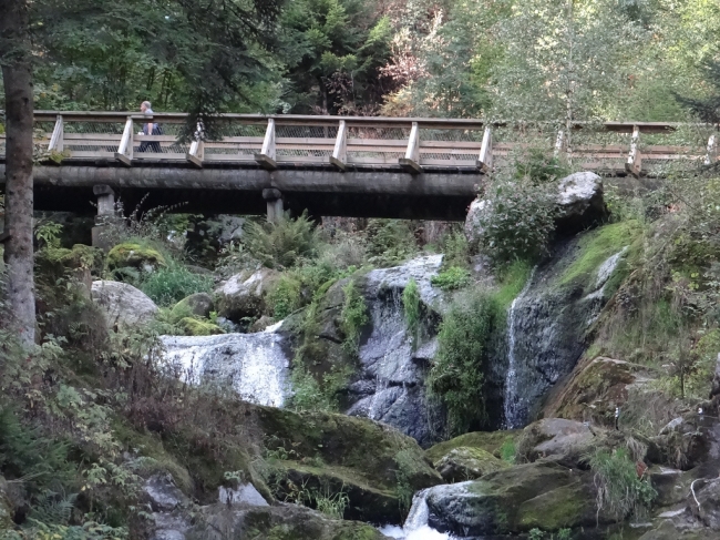 Holzsteg Triberger Wasserfälle