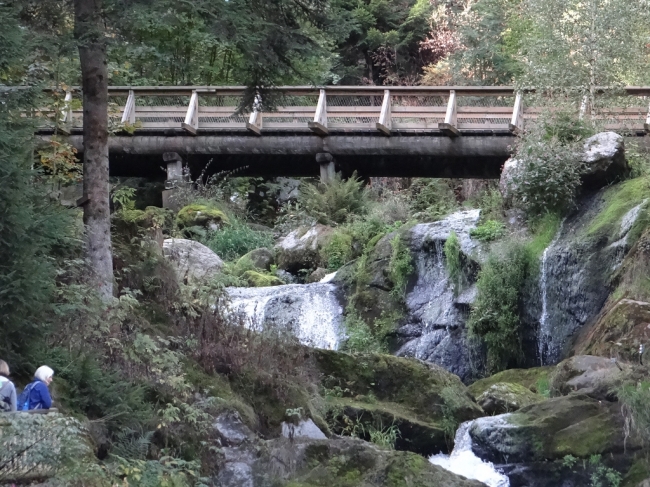 Holzsteg Triberger Wasserfälle