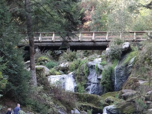 Holzsteg Triberger Wasserfälle