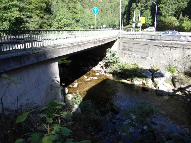 B33 Brücke Triberg am Uhrenpark