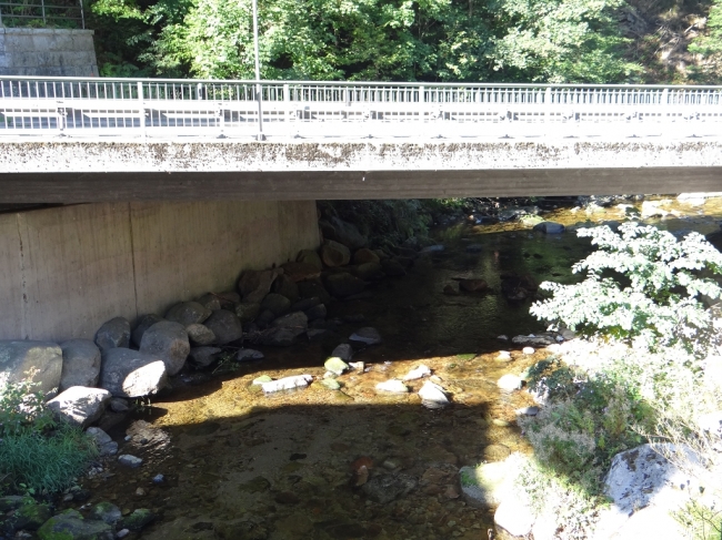 B33 Brücke Triberg am Uhrenpark