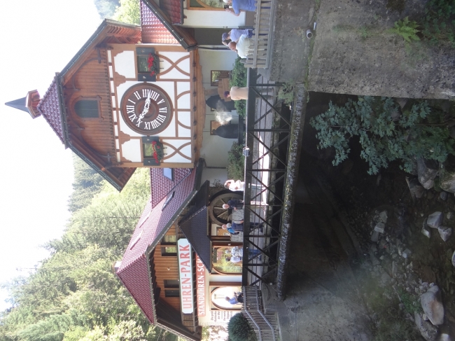 Brücke am Uhren Park Triberg Schwarzwald