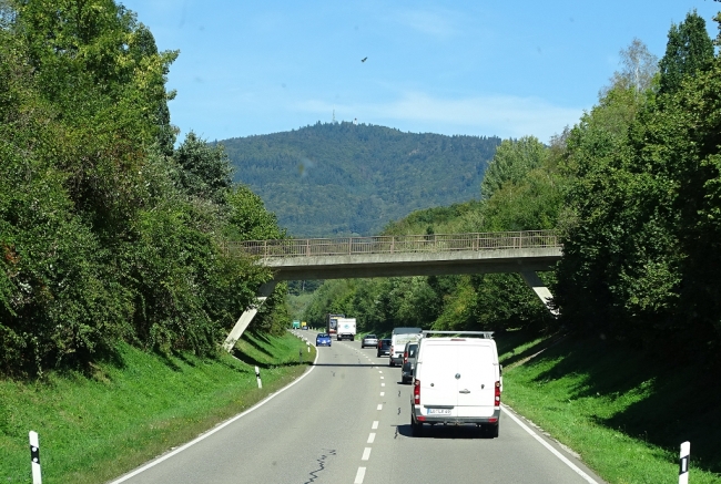 B317 Brücke Schlopfheim