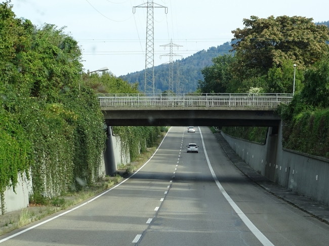 B31 Brücke Freiburg AB Zubringer