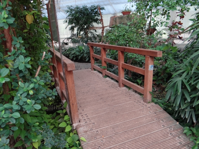 MD-Herrenkrug Schmetterlingshaus