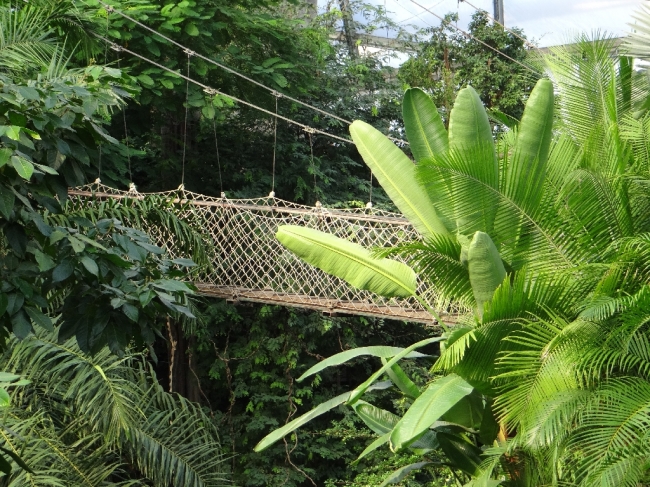Hängebrücke im Zoo Leipzig