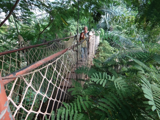 Hängebrücke im Zoo Leipzig