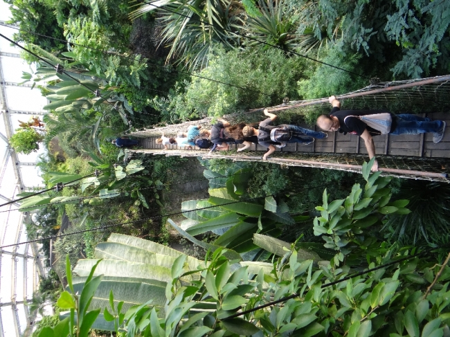 Hängebrücke im Zoo Leipzig