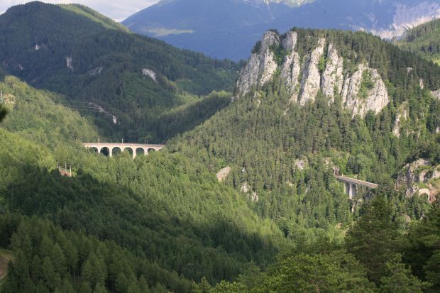 20-Schilling-Blick