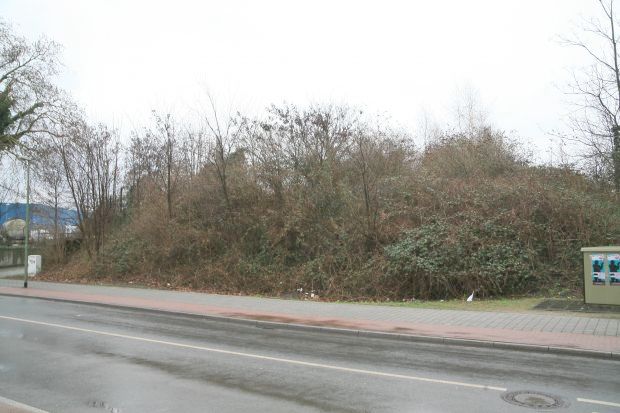 die Reste des Bahndamms