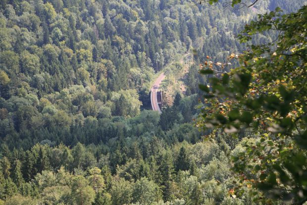 Bild 2