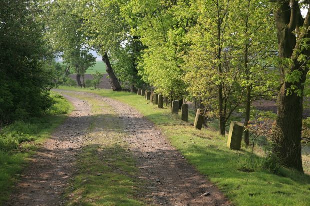 die ursprüngliche Rampe