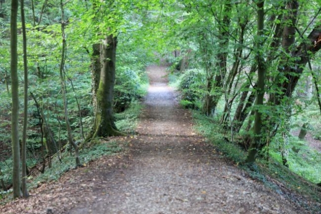 oben sieht man nur den angelegten Damm