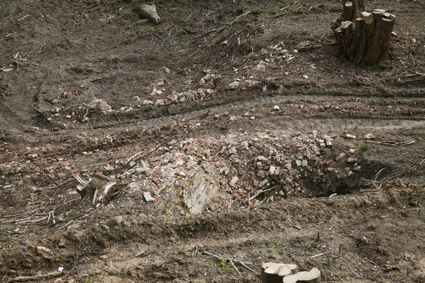 Mauerreste in der Böschung