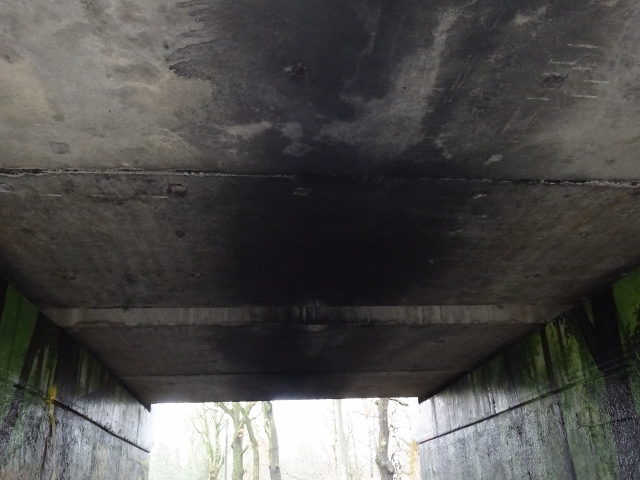 EÜ Strecke BAR - Karlshorst / Fußweg und EU Parkeisenbahn FEZ Wuhlheide