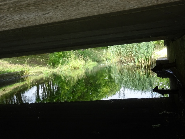 Wuhletal- Strab- und Straßenbrücke / ehem. Klärwerksableiter