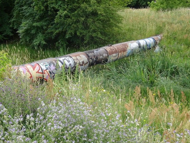 BAS 37970 Brückendaten ändernStandort bearbeitenneues Foto hinzufügen Fotos bearbeiten neue Nachricht eingebenneue Hyperlink eingebenneue Sammelgegenstand eingeben Rohrbrücke / ehemaliger Klärwerksableiter
