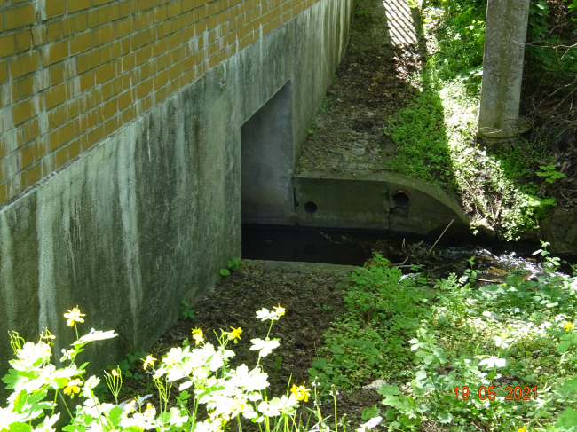 Zepernicker Chausseebrücke/ Panke