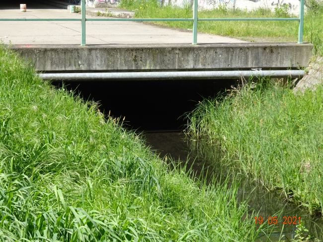 Rohrquerungsbrücke nördlich der A 11 / Panke, im Vordergrund
