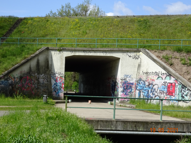 Rohrquerungsbrücke nördlich der A 11 / Panke, im Vordergrund