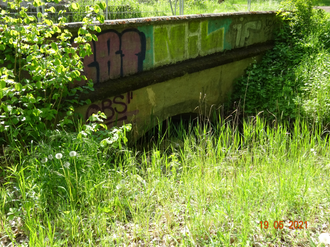 Rad- und Fußwegbrücke / Panke