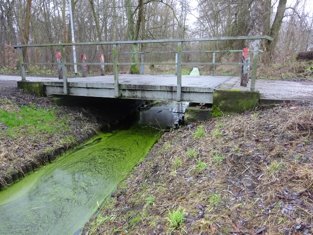 Bellevueparkbrücke / Urerpe