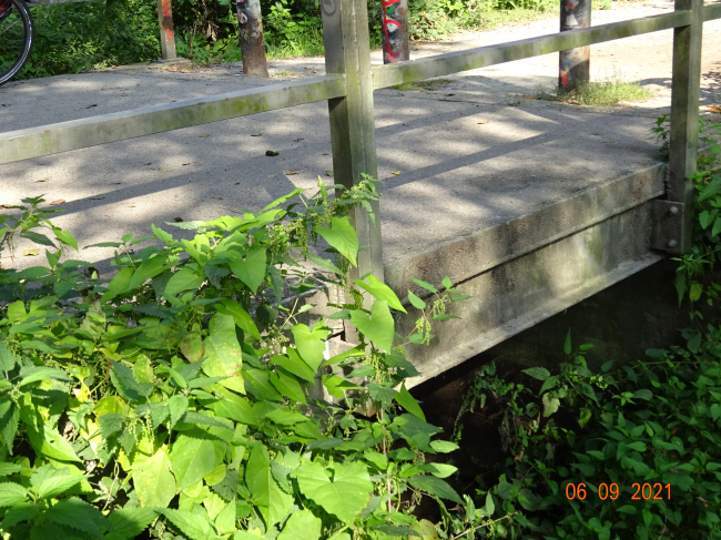 Bellevueparkbrücke / Erpe