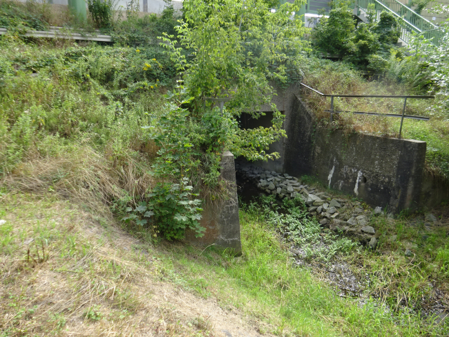 EÜ Berlin - Bernau etc / Luchgraben neben der verl. Königsteinstraße