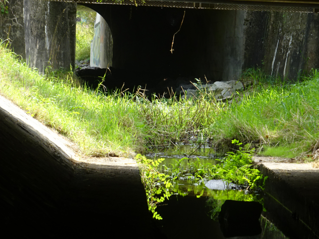 EÜ Berlin - Bernau etc / Luchgraben neben der verl. Königsteinstraße