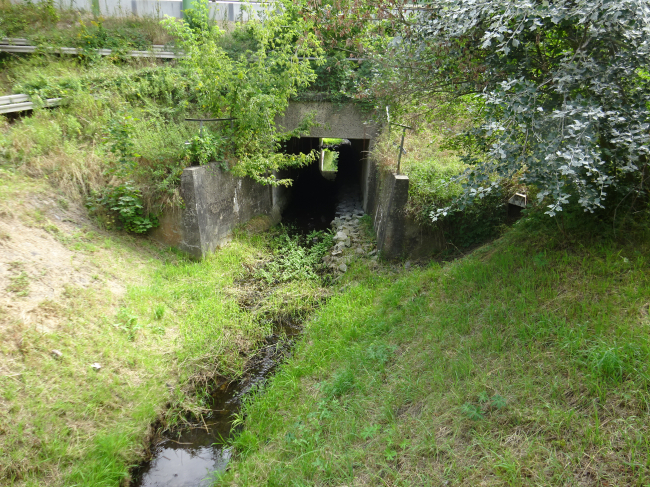 EÜ Berlin - Bernau etc / Luchgraben neben der verl. Königsteinstraße